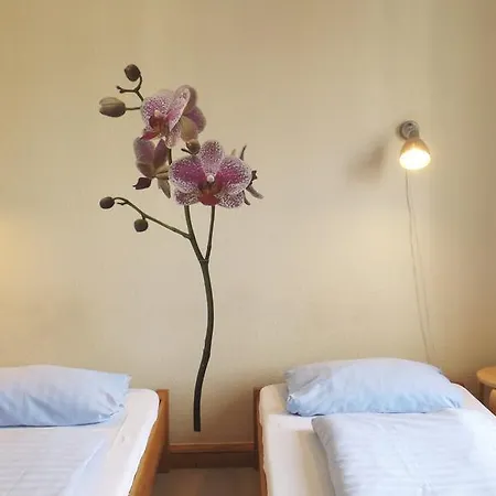 Hostel Backpacker