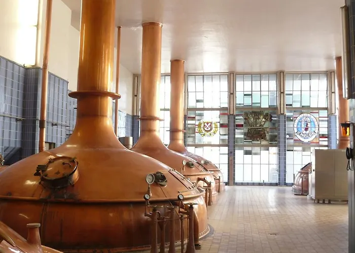 不来梅背包客旅馆 旅馆 不莱梅